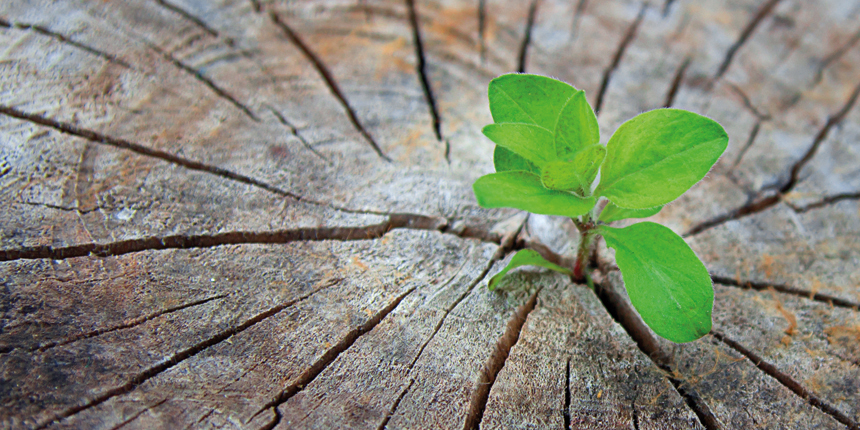 Social commitment and sustainability