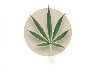 Hanf-Produkte