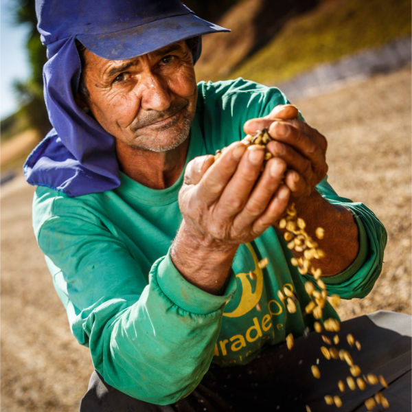 Brazil – Dolce Cerrado