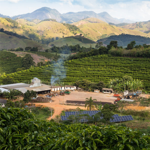 Brazil – Conilon Robusta Tropical