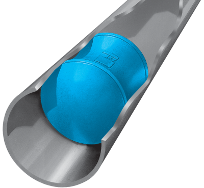 Molchsystem-Illustration (geschlossenes Molchsystem)