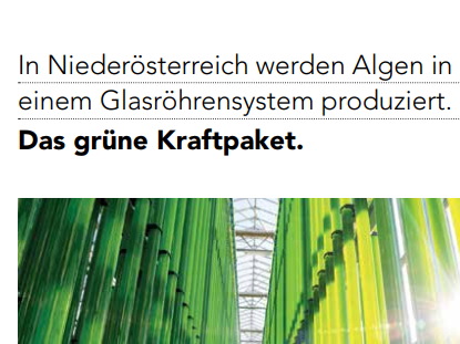 Unternehmensbereich New Business / Forschung