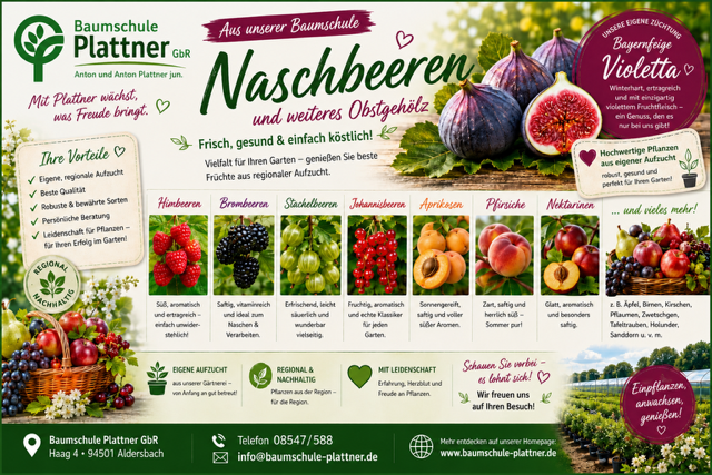 Naschbeeren