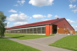Milchviehstall