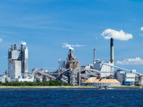 Paper and fibre industry