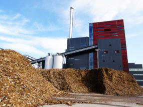 Biomass