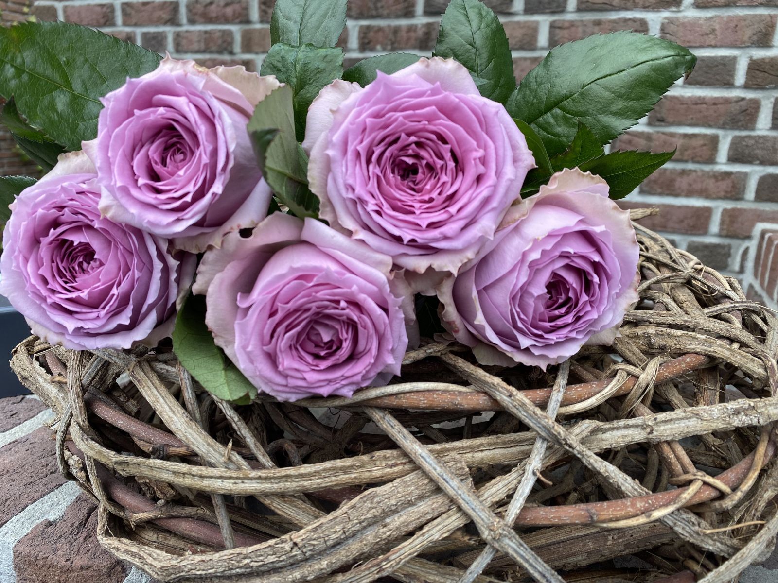 Rosen und Hortensien aus eigener Produktion