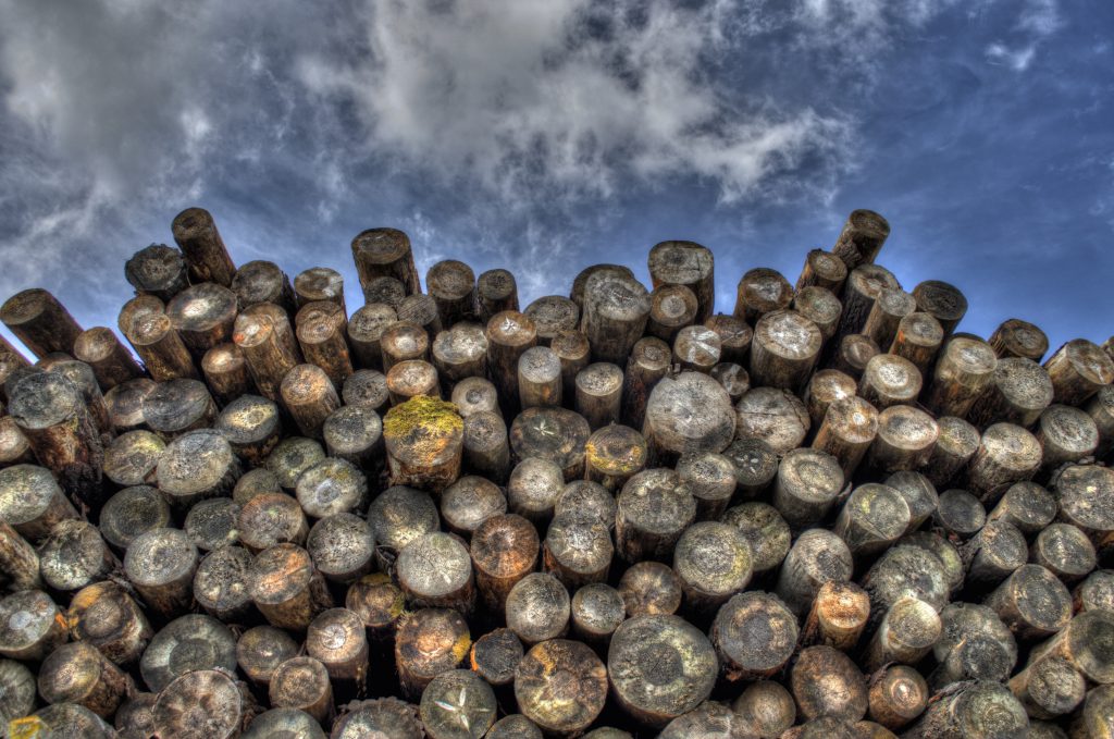 APOS Online-Holz-Analytik