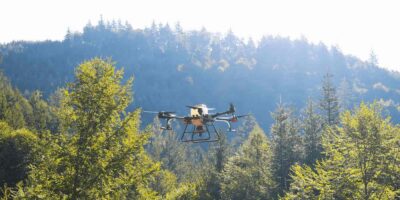 Streu-Drohneneinsatz im Wald
