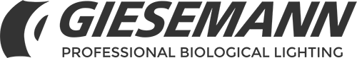Giesemann Logo