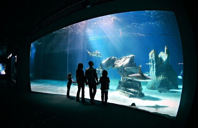 Pulzar G3 Aquariumbeleuchtung
