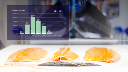 Software-Visualisierung in der Lachsverarbeitung
