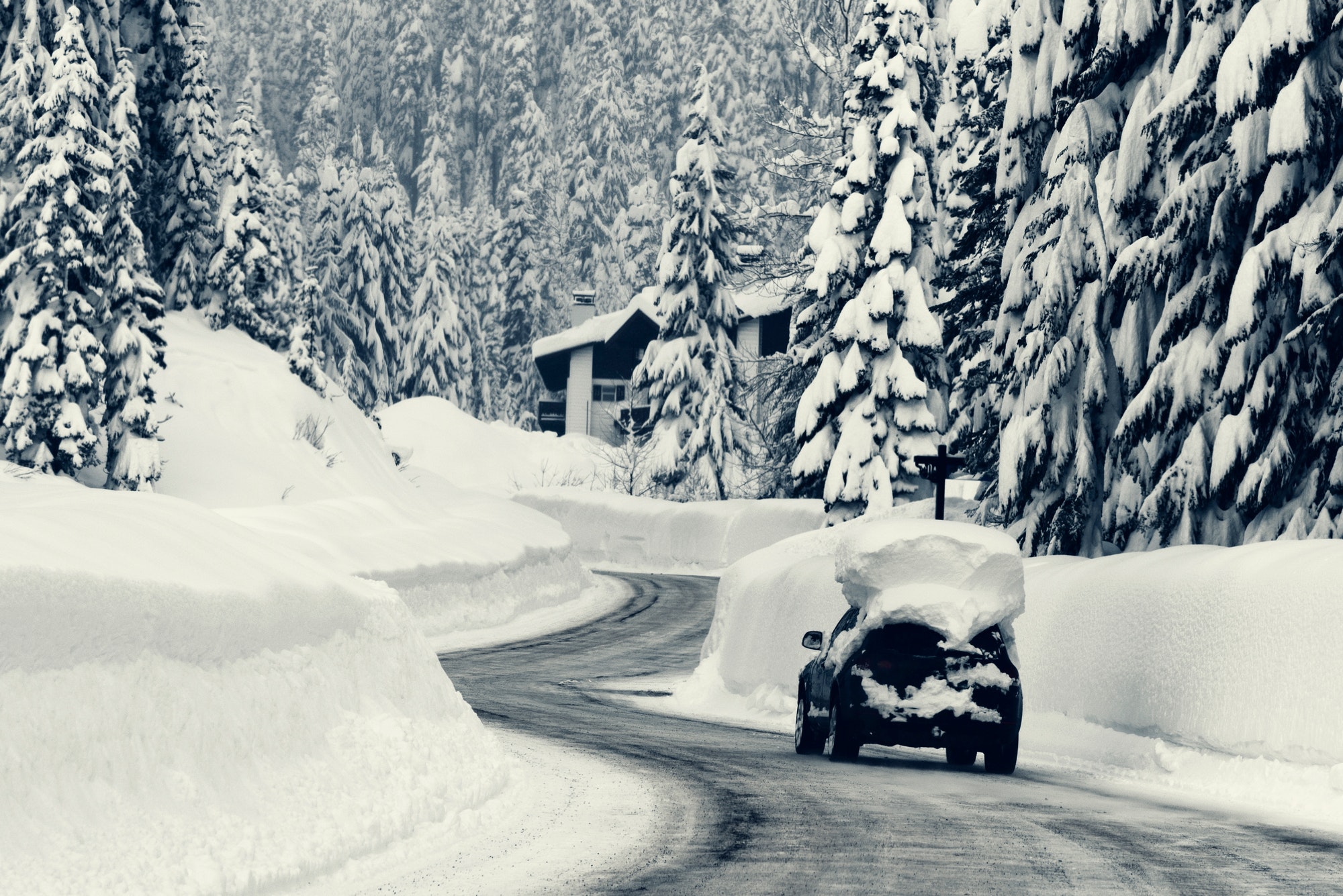 Snow Services