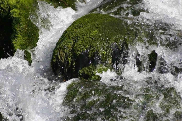 Water treatment