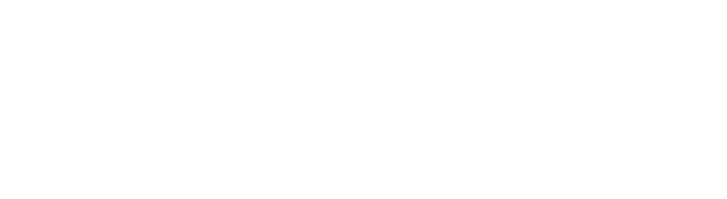 10 Years German Engineered Cigars