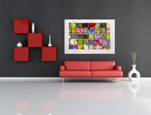 Bild hinter Acrylglas (Diasec)