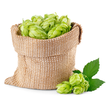 Hopfensack