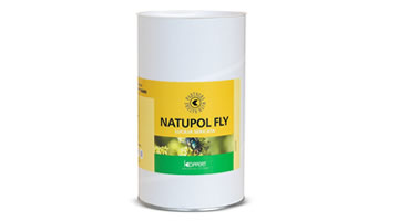 NATUPOL FLY – Fliegen zur Bestäubung