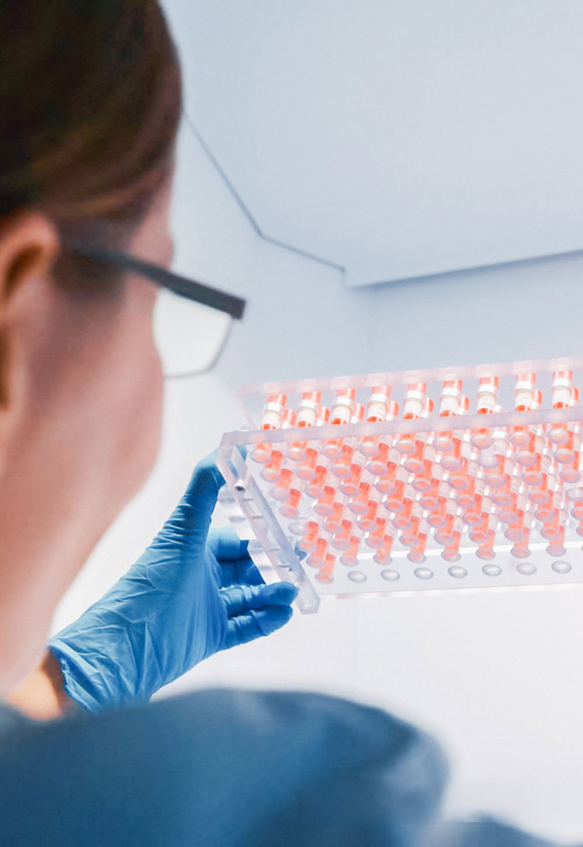 Laborarbeiten zur Bioindikator-Auswertung