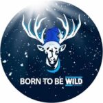 WILD Connect Logo