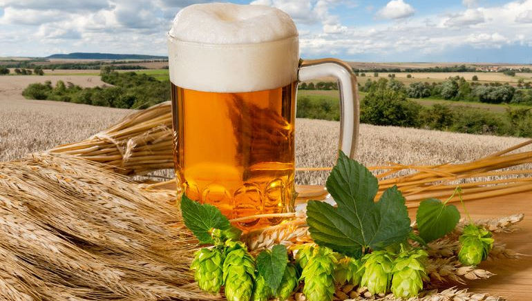 Beer tasting in the farm parlor