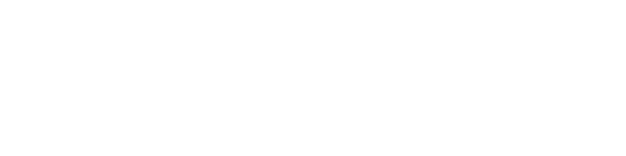 Intensovet Logo