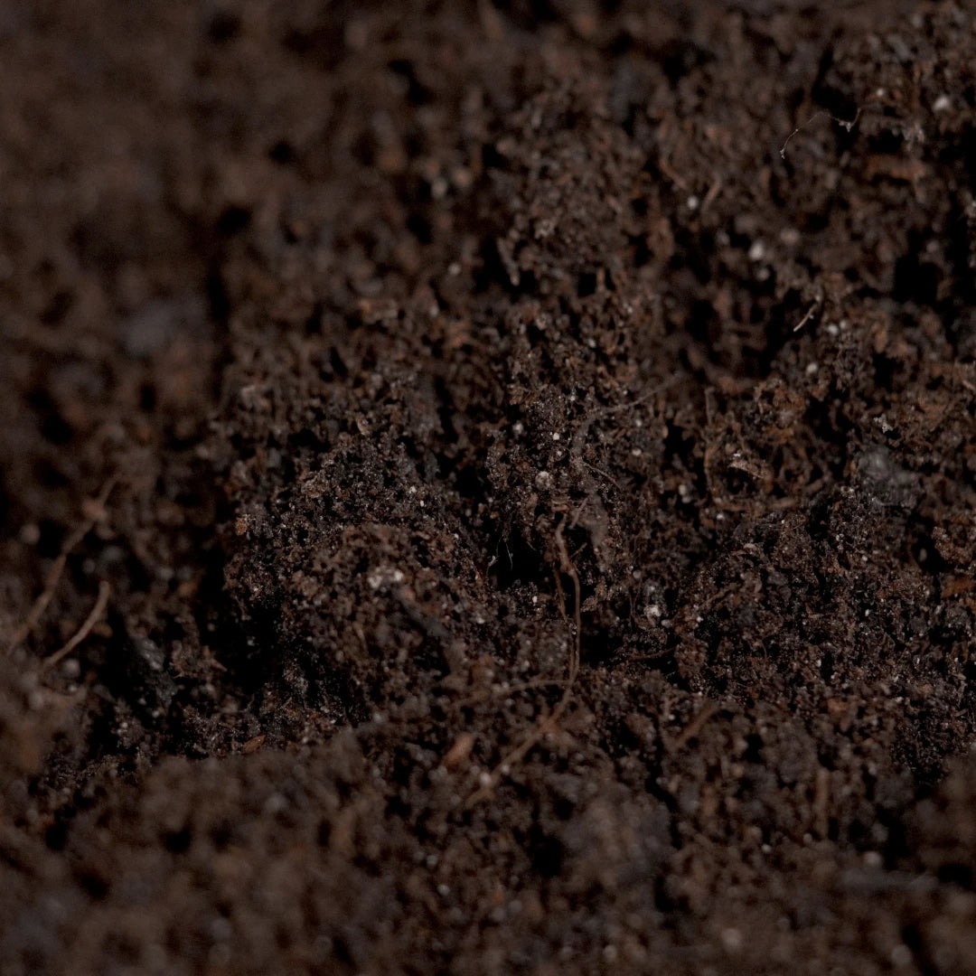 DOPE SOIL - Living Soil Substrat