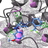 SOS1 Inhibitor Screening Library