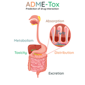 ADMET-like Screening Compound Library