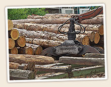 Holzzuschnitt im Sägewerk