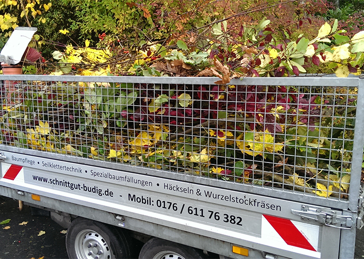 Landschaftspflege