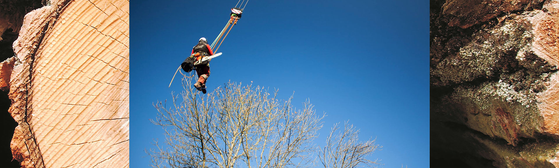 Baumarbeiten in Siegen, Freudenberg, Netphen, Hilchenbach und Kreuztal