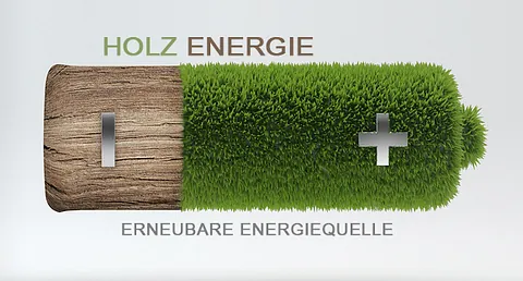 Holz als Energieträger – Brennstoff der Zukunft