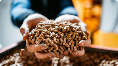 Pellets (ENplus-A1)