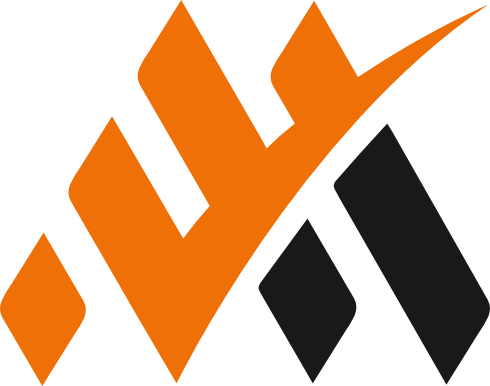 Vinyas Logo
