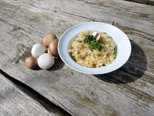 Pilzrisotto