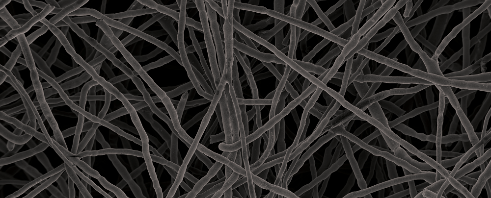 batene fleece™ – Netzwerk aus ultrafeinen Metallfasern