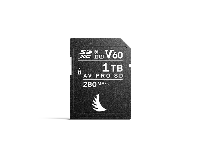 AV PRO SD V60 1 TB