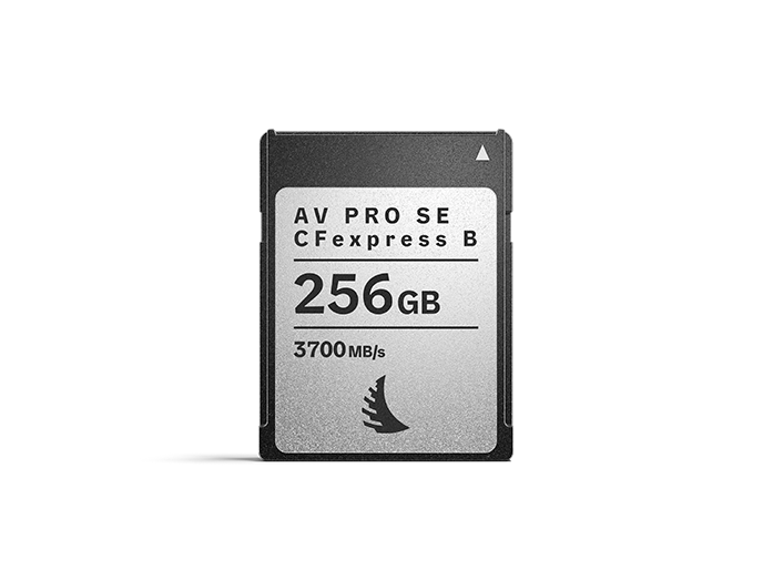 AV PRO SE CFexpress B 256 GB