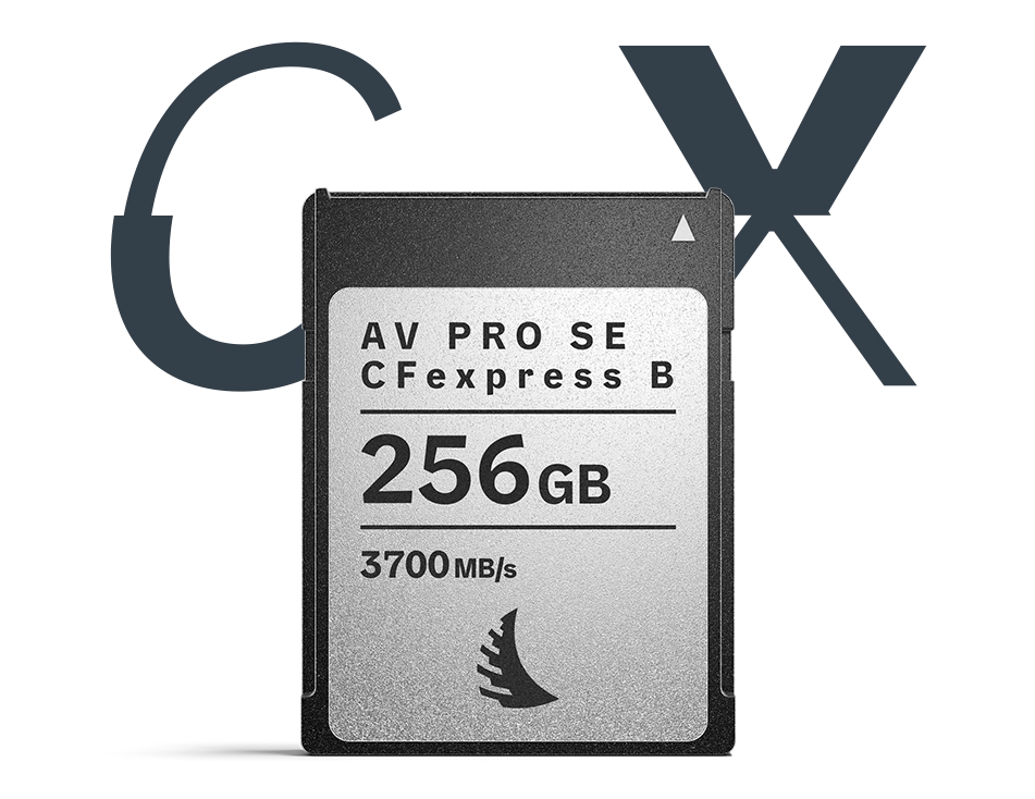AV PRO SE CFexpress B 256 GB