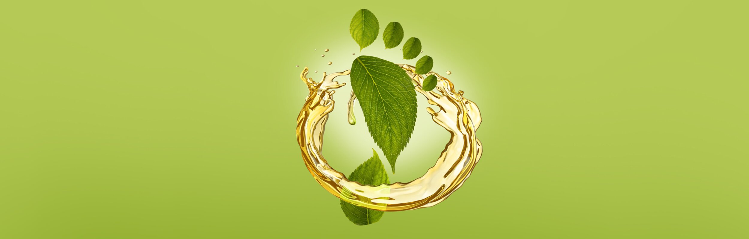 Keyvisual Sustainability