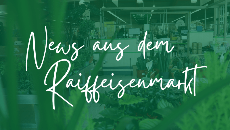Raiffeisen market