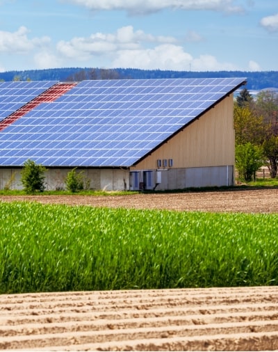 PV-Freiflächen- bzw. Dachanlage