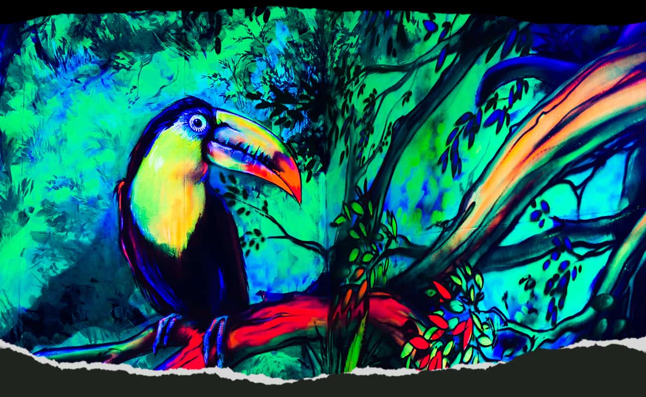 Blacklight Art & Design
