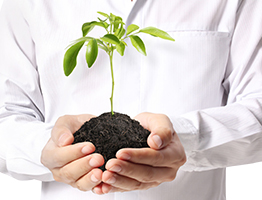 Corporate Social Responsibility