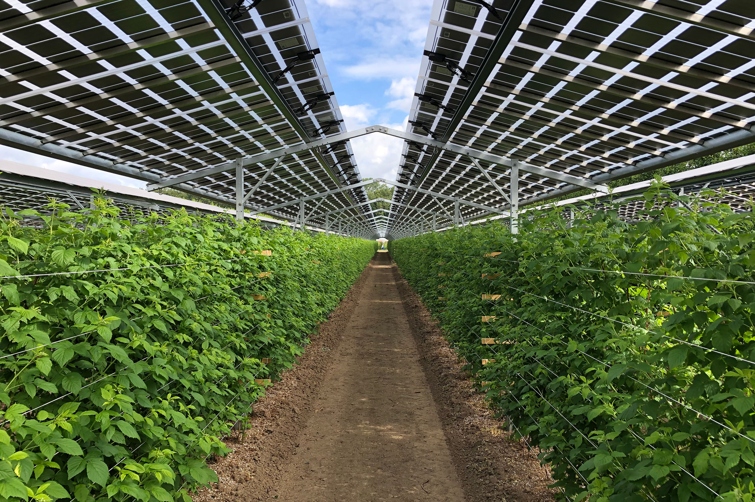 Agri-PV-Unterkonstruktion