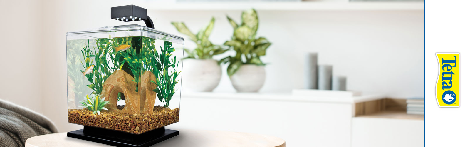 Tetra Aquarium Products