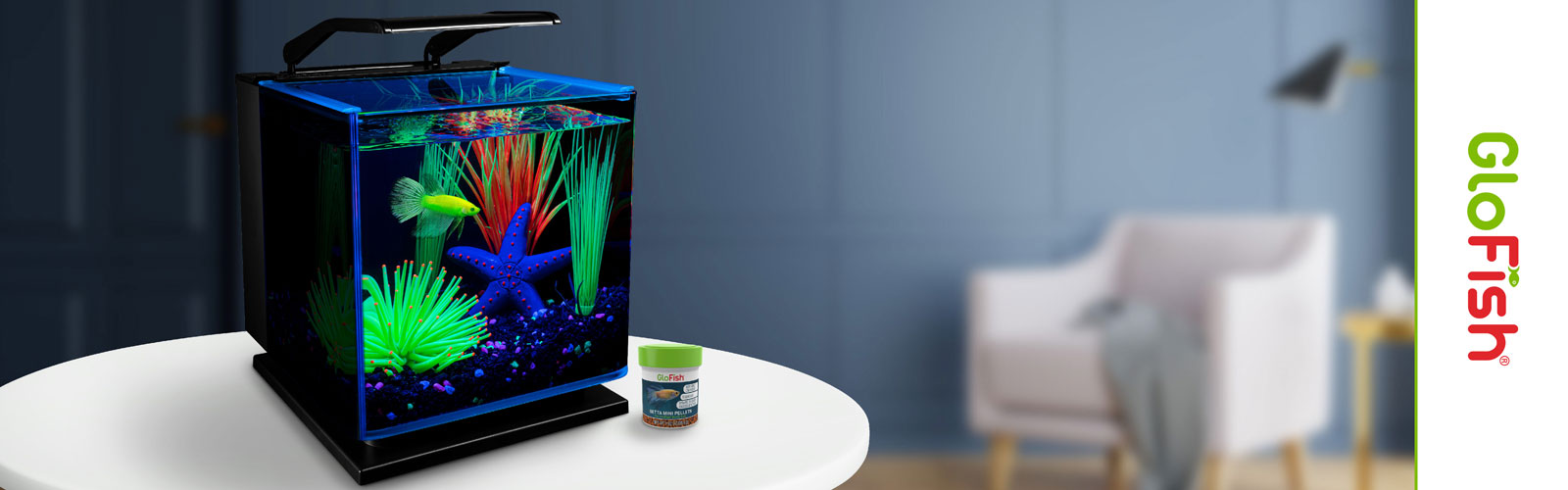 GloFish Aquarium Products