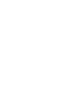 SwissNettle Logo