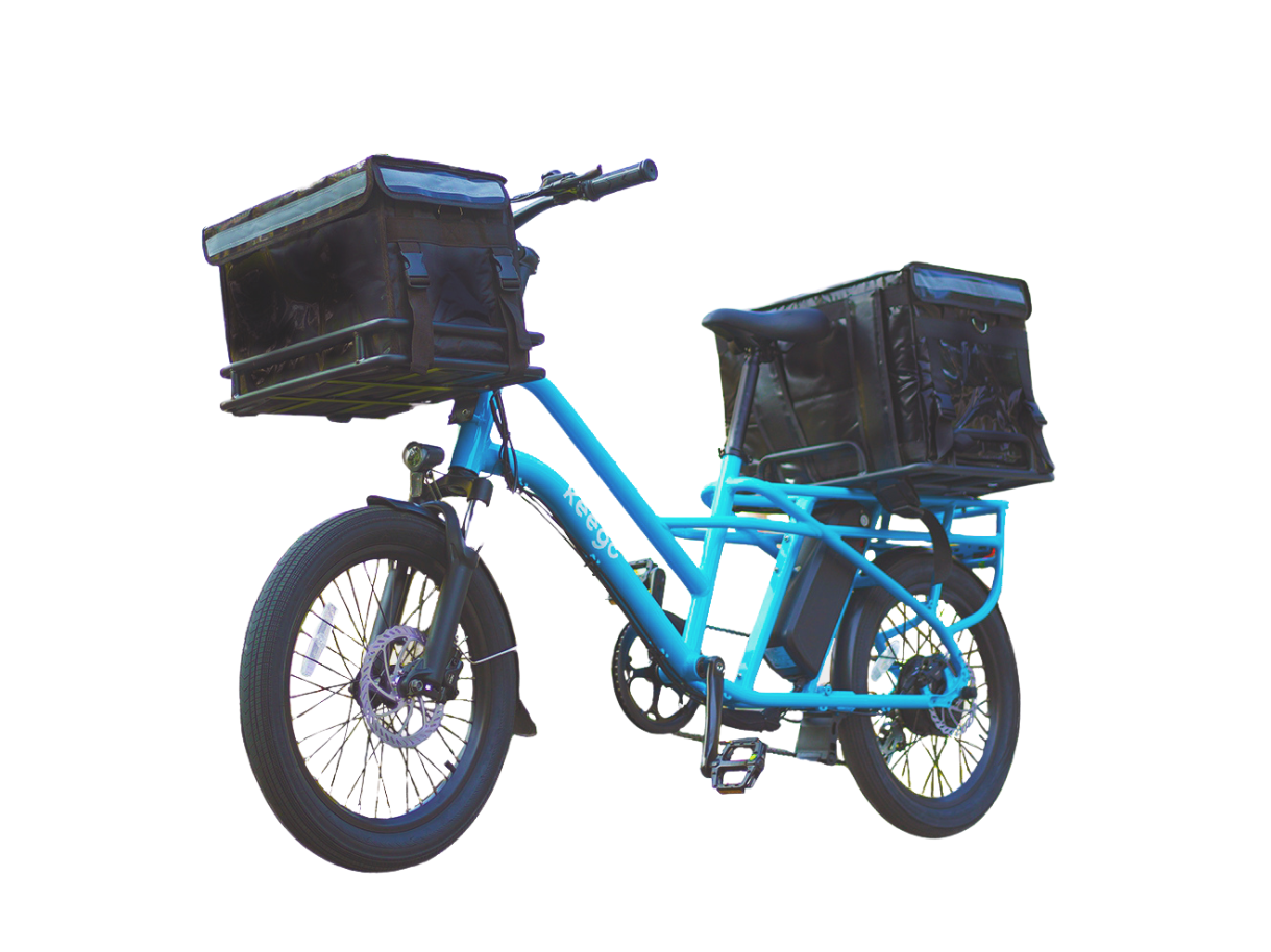 KG4 – Double Power Delivery Ebike